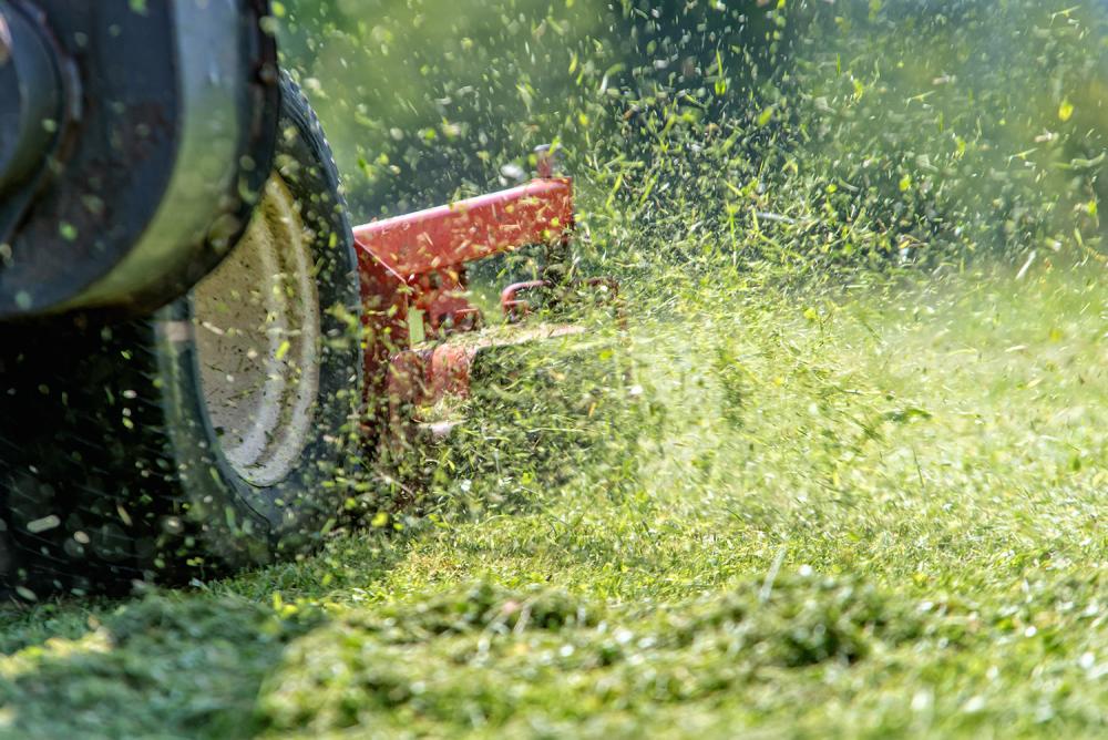 Entretien extérieurs à Saint-Sylvestre-sur-Lot