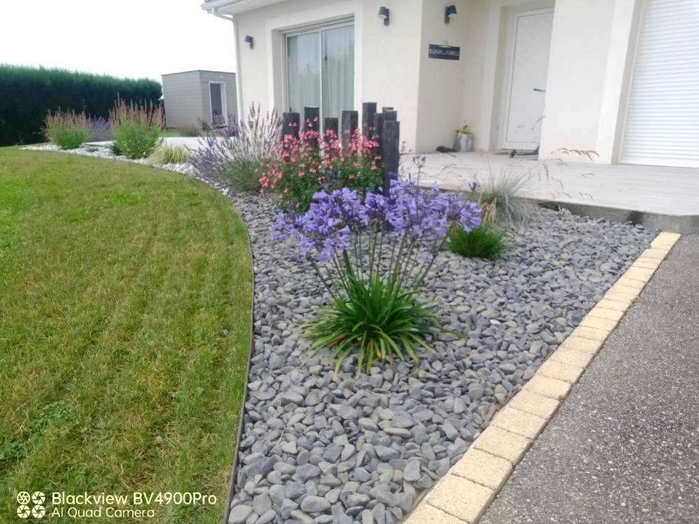 jardin (11)