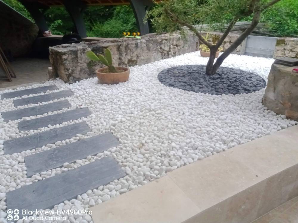jardin (14)