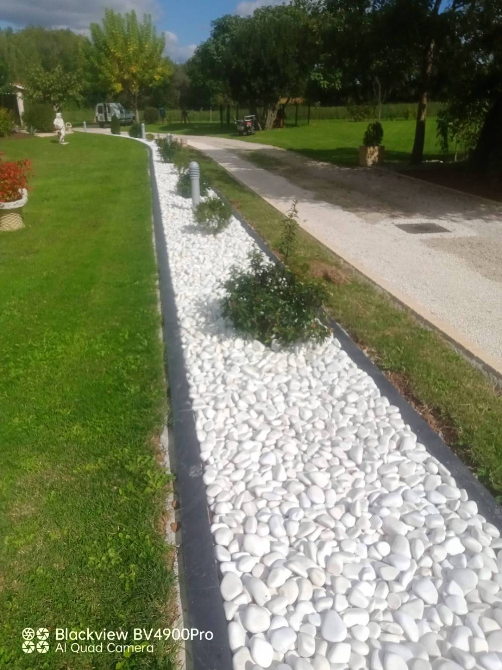 jardin (15)