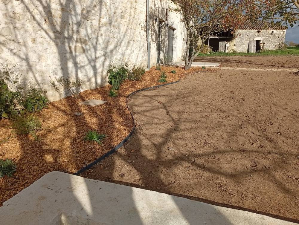jardin (20)