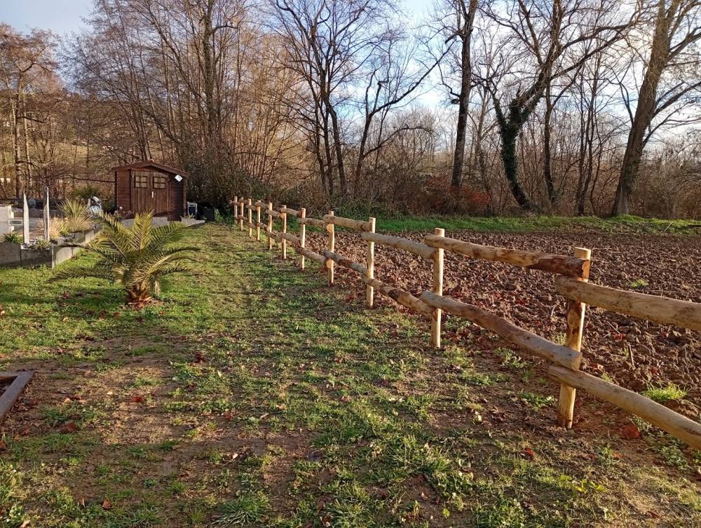 jardin (22)